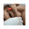 Nursing Doll, Standard Version